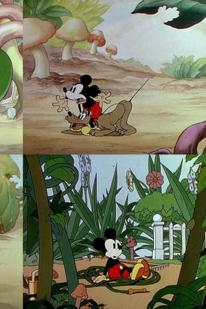 Mickey's Garden