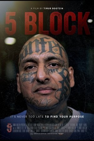 5 Block