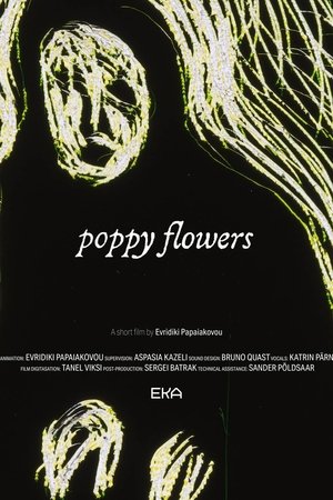 Poppy Flowers