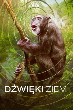 Dźwięki Ziemi