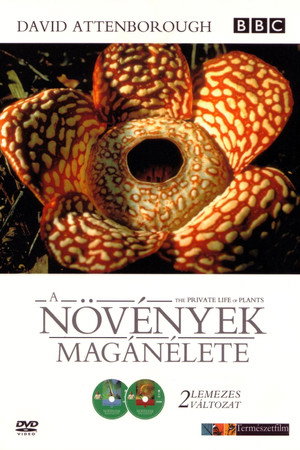 A növények magánélete
