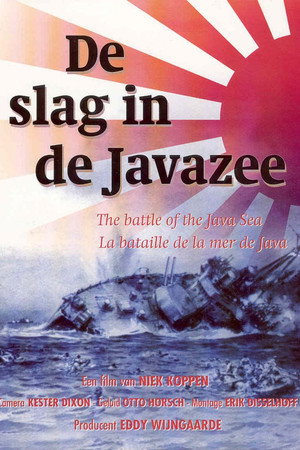 De Slag in de Javazee