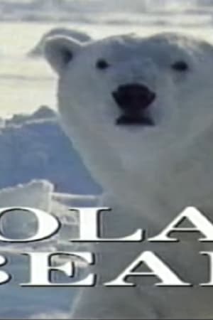 Predators of the Wild: Polar Bear