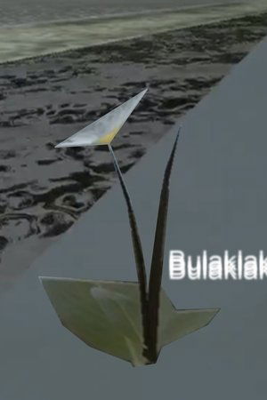 Bulaklak