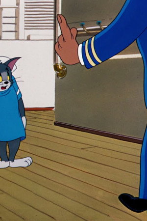 Cruise Cat
