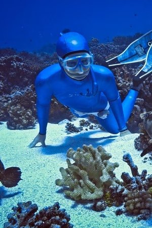 epizoda