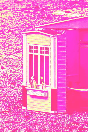 CARNE-FICCIÓN