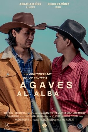 Agaves al alba