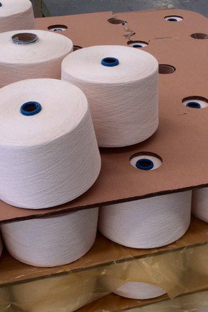 Electric Race Cars, Mead