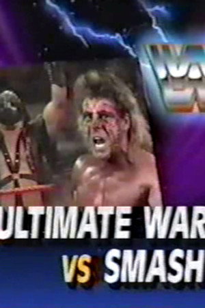 May 18, 1991 - Superstars of Wrestling 246