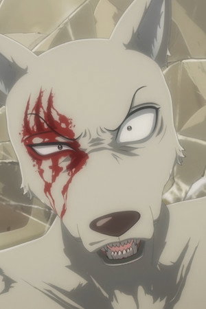 Napjaté očekávání kuchařovo