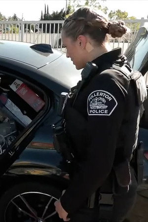 Shoplifting Pursuit