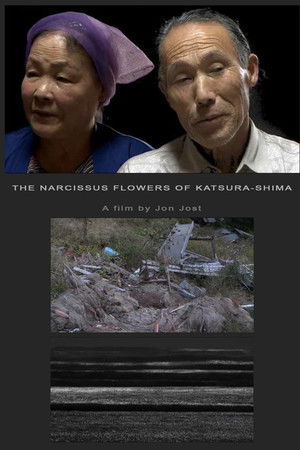 The Narcissus Flowers of Katsura-shima