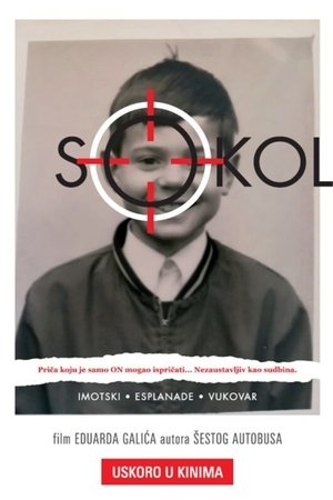 Sokol