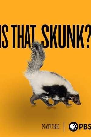 Is That Skunk?