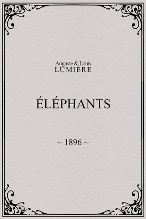 Elephants