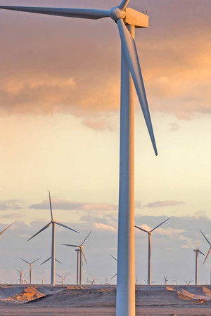 Wind Turbines, Car Tyres, Mushrooms