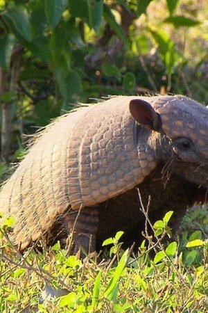 65. epizoda