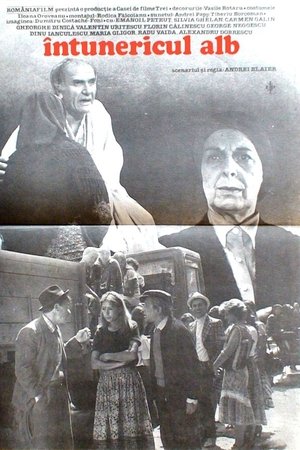 Întunericul alb