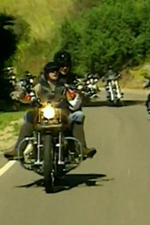Harley Girls