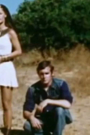 How to Find a Friend