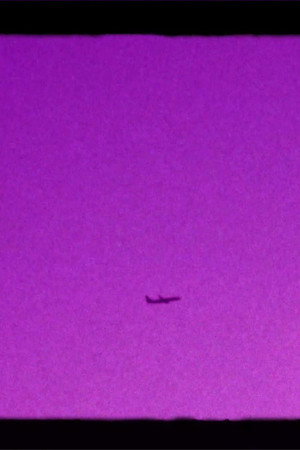 Shoegazer's Brown Eye Reverie