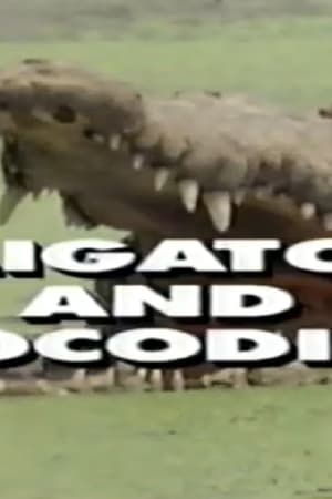 Predators of the Wild: Crocodiles and Alligators