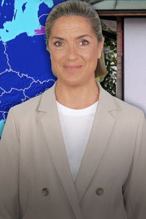 Why Switzerland Rejects Strict Neutrality
