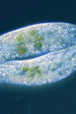 3. epizoda
