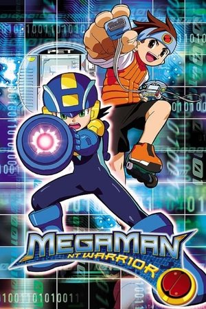 MegaMan NT Warrior