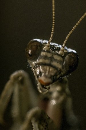3. epizoda