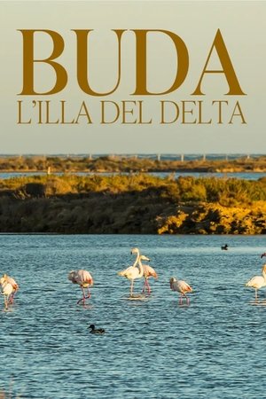 Buda, l'illa del Delta