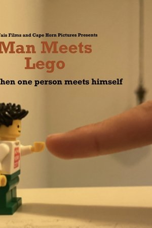Man Meets Lego