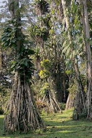 8. epizoda