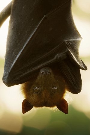 3. epizoda