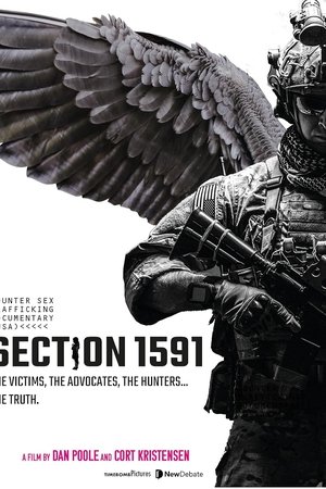 Section 1591