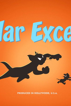 Polar Excess