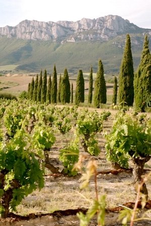 Rioja