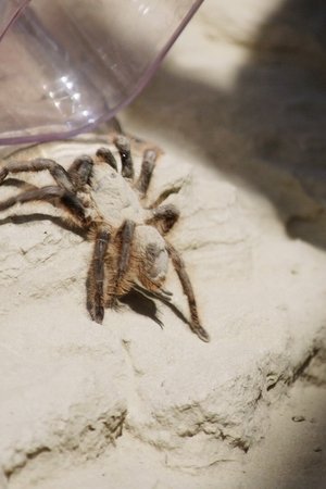 6. epizoda