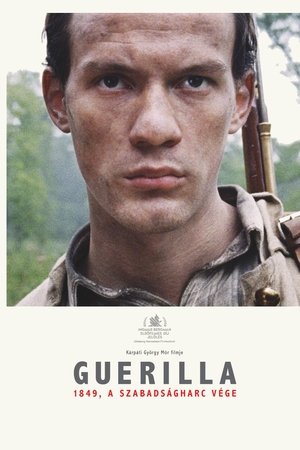 Guerilla