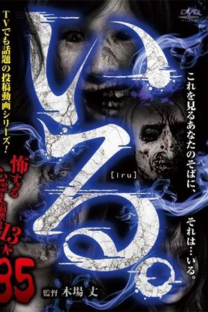 「Iru.」~ Kowasugiru Tōkō Eizō 13-hon ~ Vol.35