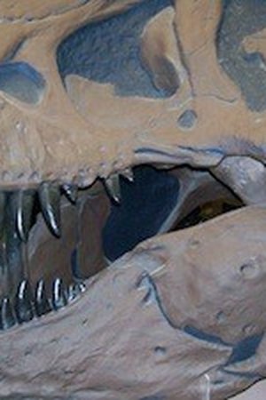 7. epizoda