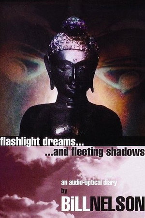 Flashlight Dreams and Fleeting Shadows: an Audio-Optical Diary by Bill Nelson