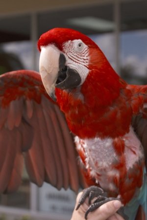 10. epizoda