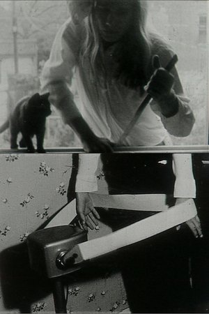 We Hope You Enjoy This Film