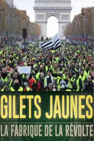 Gilets jaunes : La fabrique de la révolte