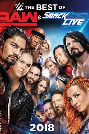 WWE The Best of Raw and Smackdown Live 2018