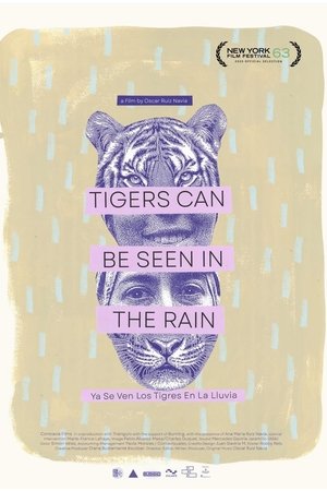 YA SE VEN LOS TIGRES EN LA LLUVIA
