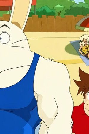 Muscle Bound