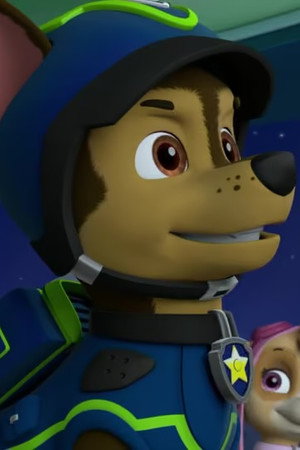 Pups Save a Freighter